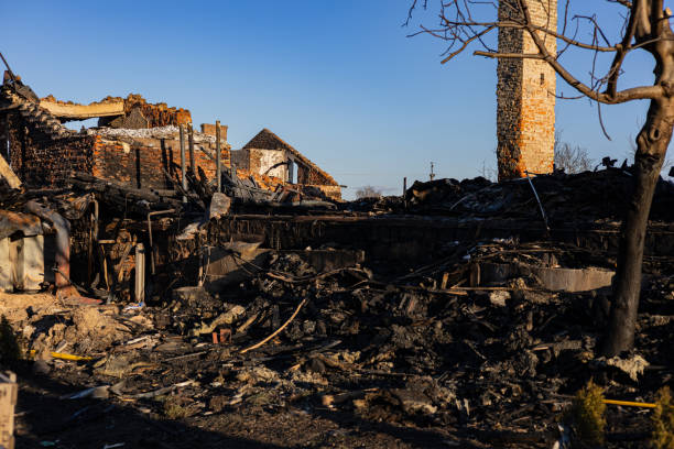 Reliable Content Restoration contractor in Severna Park, MD by Fire Damage Flint